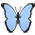 Blue Butterfly badge preview